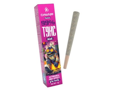 Návrh bez názvu 2026 01 15T142040.642