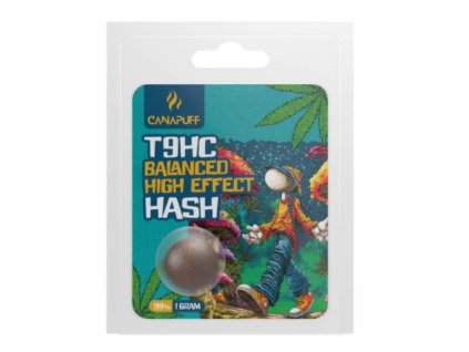 Návrh bez názvu 2026 01 15T142318.456