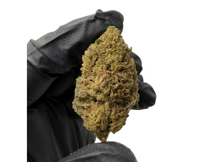 Návrh bez názvu (19)