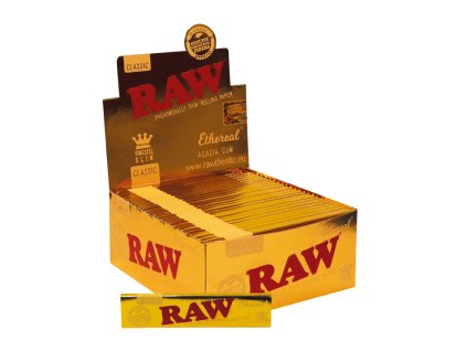 Návrh bez názvu 2026 02 05T123548.728