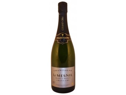 Mesnil Grand Cru Extra Brut blanc de blancs (le)