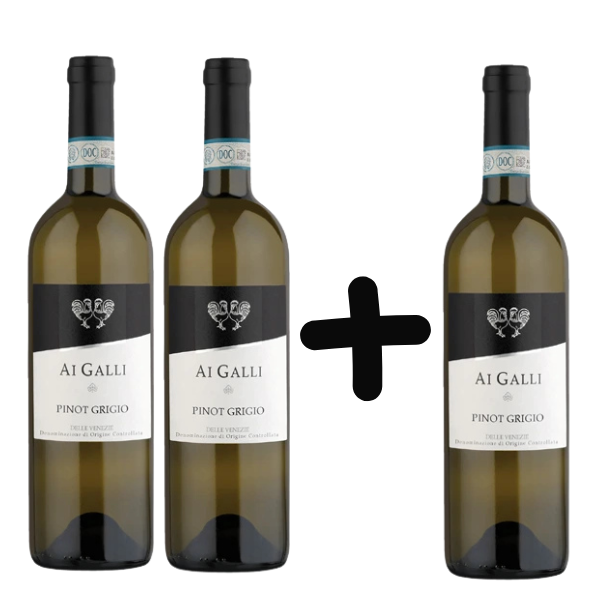 Ai Galli Pinot Grigio DOC 0,75 l 2+1 ZDARMA