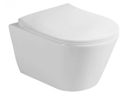Závěsná WC mísa, Rimless, s bidetovou sprškou, 35,5x53cm, bílá