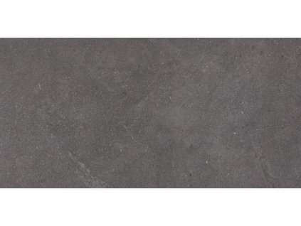 rockford antracite 60x120 01s rekt r10 b 8mm