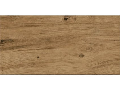 EBS Ashwood Brown 30x60 cm detail dlažby v dekoru tmavě hnědého jasanu s výraznou texturou