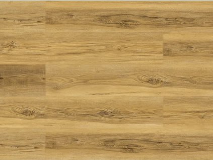 EBS Experto LVT 30 Dub Galla vinylová podlaha 18,4x121,9 cm detail světlého dekoru dřeva