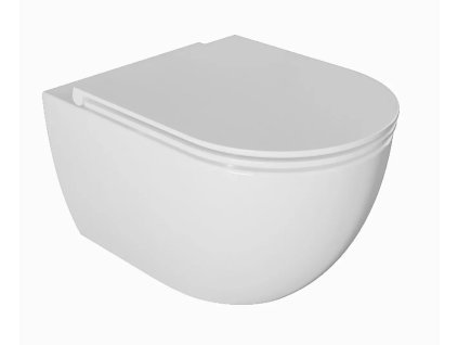 BESTECO Závěsné WC Hunter Rimless + sedátko SoftClose bílá 26822210
