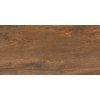 legno cuero 30x60 01s r9