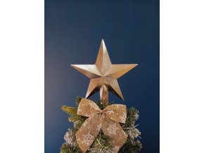 Špic na vánoční stromek Hvězda 20cm SILVER