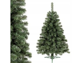 Vianočný stromček jedľa 220cm (2)