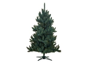 Vianočný stromček Smrek Strieborný 220cm
