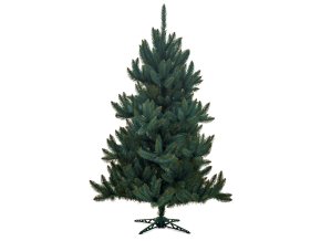 Vianočný stromček Smrek Strieborný 250cm