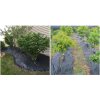 Agrotextilie 0,6x100m 70 g/m2 14