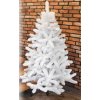 vianočný stromček jedľa biela 2