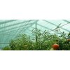 Stínící síť zelená 1,2M x 50M 60% stínu