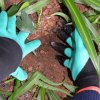 zahradne rukavice s pazurmi(4)