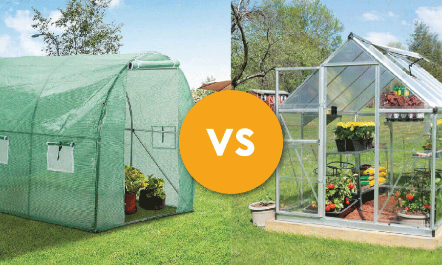 Pestovanie vo fóliovníku alebo v skleníku? Aký je rozdiel?