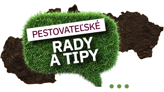 vaše tipy a rady