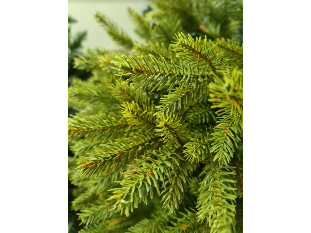 Božićno drvce na panju Smreka PE Royal detalj