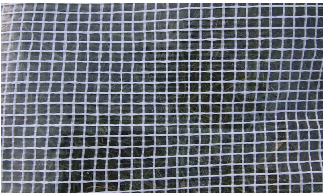 Ponjava bela  5x8m 100g/m2 4