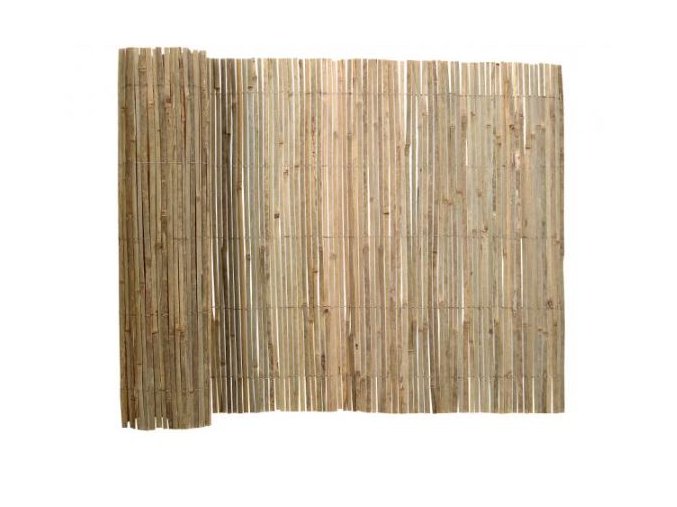 bambusová zástena
