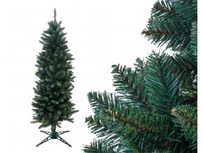 vianočný stromček smrek stĺpovitý