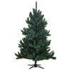 Vianočný stromček Smrek Strieborný 250cm
