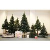 Vianočný stromček Borovica 220cm Exclusive