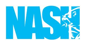 Nash-logo-alternative