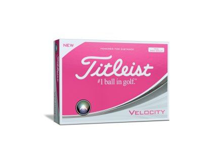 Velocity pink dozen pack right