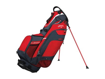 bags 2018 fusion stand 16813 1