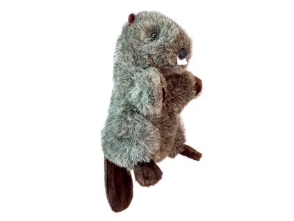 Daphnes headcover Beaver - Bobr