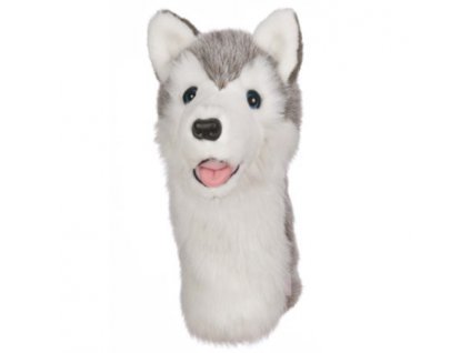 Daphnes headcover Husky