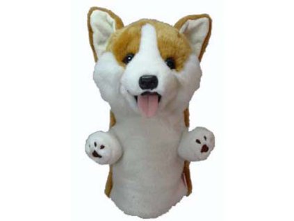 Daphnes headcover Corgi - pes Welsh Corgi