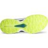 ECCO Golf Biom C5 BOA pánské boty bílo-zelené