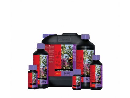 Atami B´cuzz Coco Bloom Stimulator, 500ml