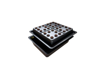 Amazon 32, pro 32 rostlin