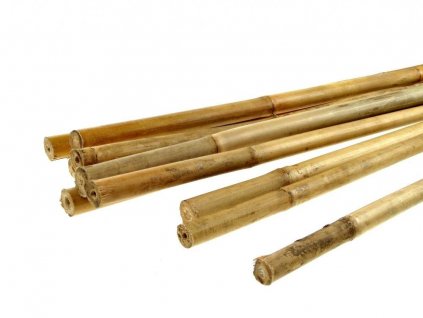 Bambusová tyčinka 120 cm, 1 ks