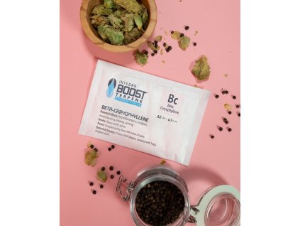 Integra Boost 62% 67g, CARYOPHYLLENE, 1ks