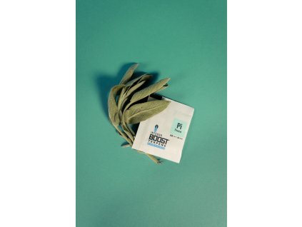 Integra Boost 62% 4g, PINENE, 1ks