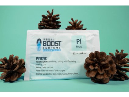 Integra Boost 62% 67g, PINENE, 1ks