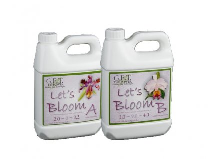 GET Lets Bloom A+B