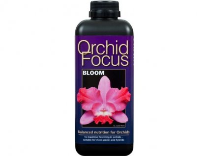 Growth Technology Orchid Focus Bloom