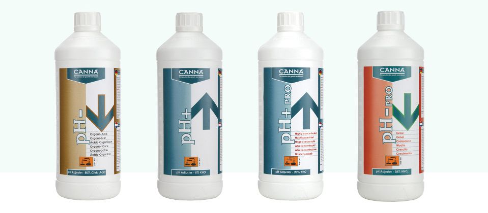 Canna pH plus Pro 1L