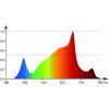 gc bloom spec graph
