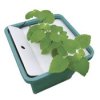 Terra Aquatica Cultimate Aerofarm 3″ - 5x8 cm košík