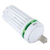 LUMii EnviroGro CFL 300W Cool White 6400K, na růst