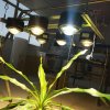 300W led kit