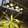 450w LED glass lens kit