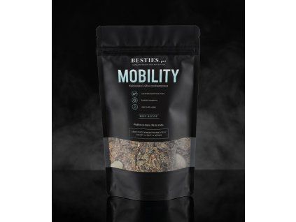 MOCKUP concentrated Mobility